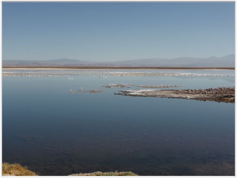 Le Salar d'Atacama