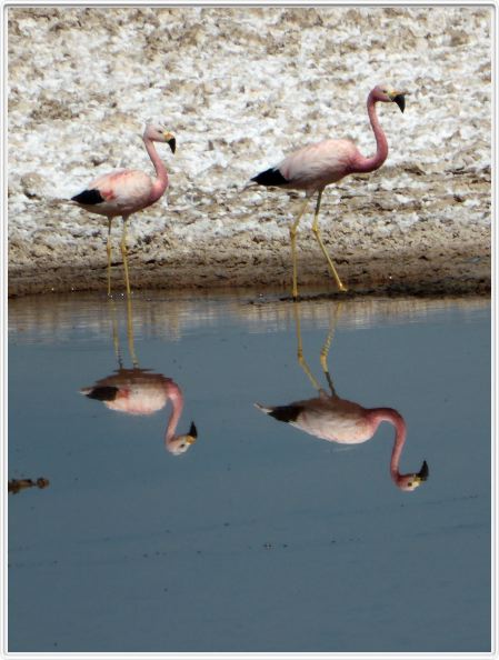 Le Salar d'Atacama