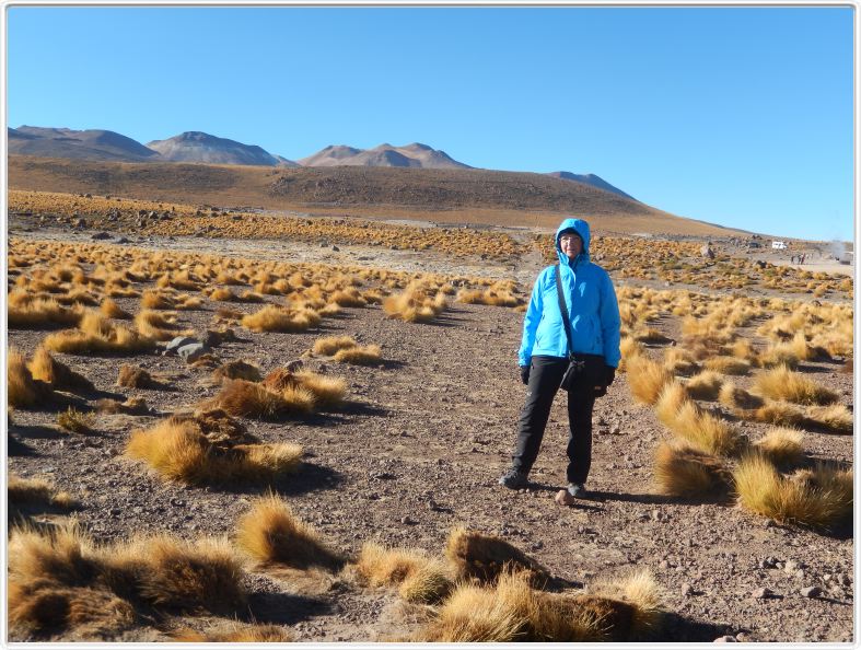 Environs du Parc géothermique d'El Tatio