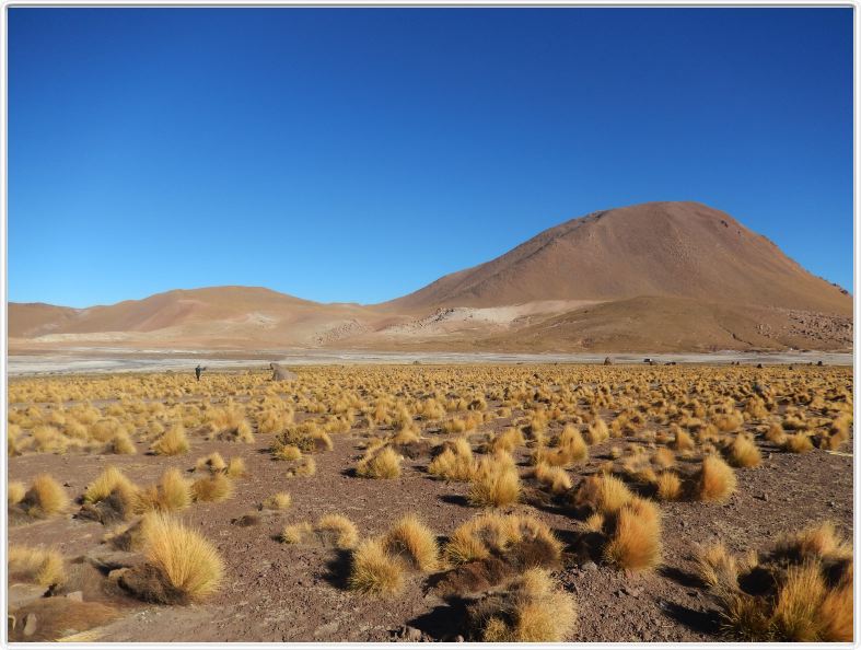 Environs du Parc géothermique d'El Tatio