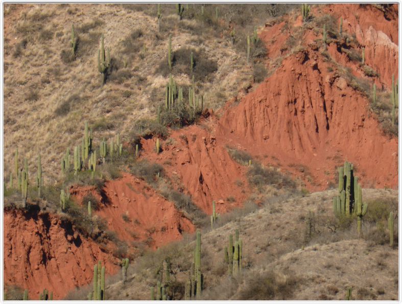 Sur la route menant de Salta à Cachi.