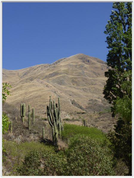 Sur la route menant de Salta à Cachi.