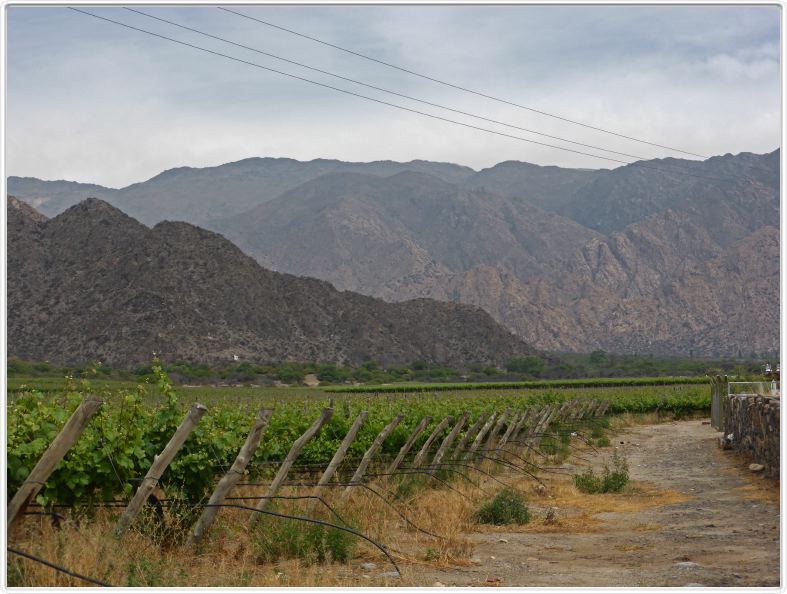 Cafayate