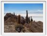 Désert de sel (Salar d'Uyuni)