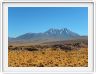 Visite des hauts plateaux du désert d'Atacama