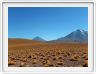 Visite des hauts plateaux du désert d'Atacama