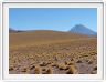Visite des hauts plateaux du désert d'Atacama