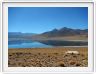 Visite des hauts plateaux du désert d'Atacama