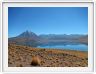 Visite des hauts plateaux du désert d'Atacama