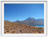 Visite des hauts plateaux du désert d'Atacama