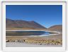 Visite des hauts plateaux du désert d'Atacama