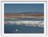 Le Salar d'Atacama