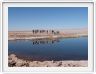 Le Salar d'Atacama