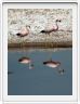 Le Salar d'Atacama