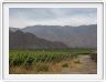 Cafayate
