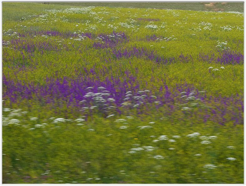 Prairie près de Zorats Kar