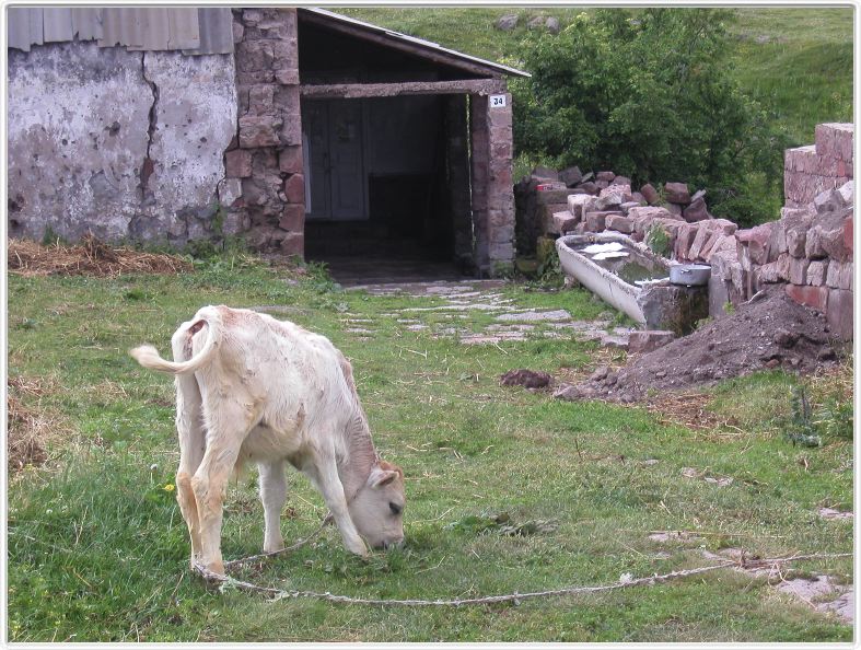 Devant le monastère d'Harichavank