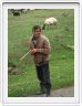 Rencontre sur la route d'Amberd 