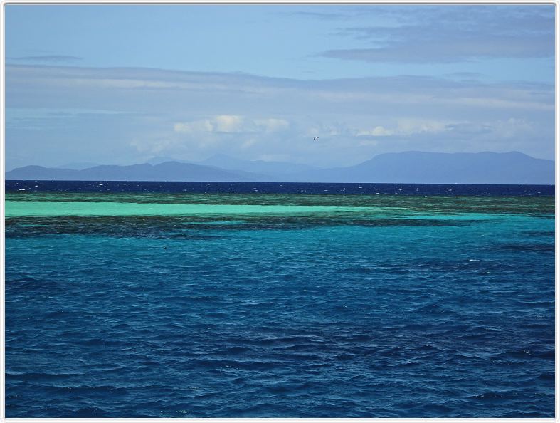 Au large de Cairns (Queensland). L'Ile de Michaelmas Cay.