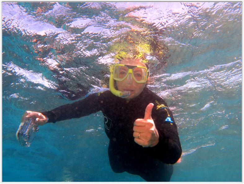 Au large de Cairns (Queensland). L'Ile de Michaelmas Cay.