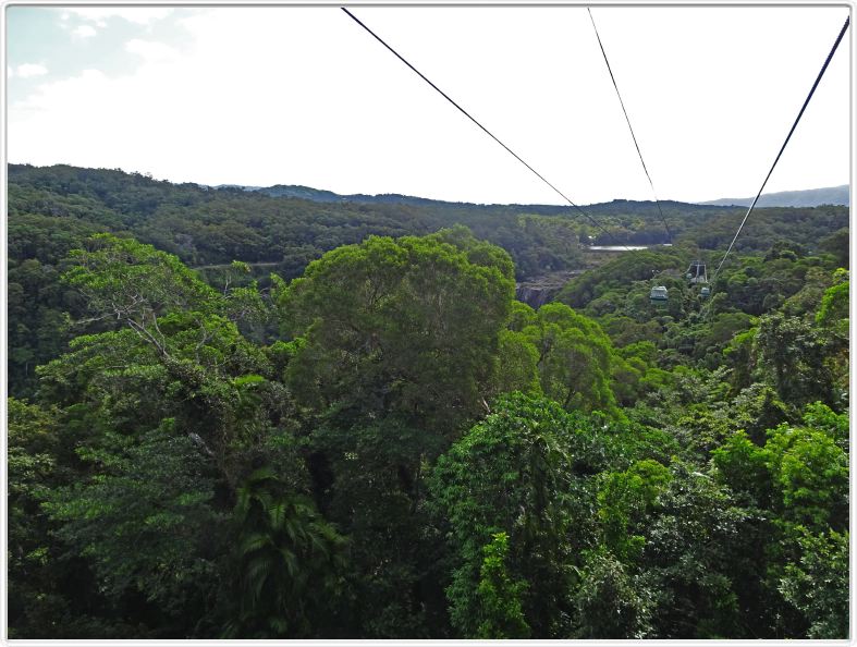 Retour par une série de télécabines au-dessus de la forêt tropicale.