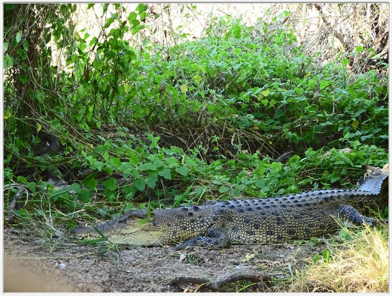 Mary River National Park