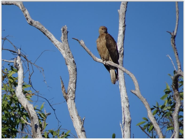 Parc National de Kakadu