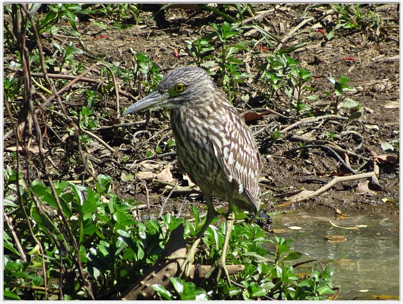 Parc National de Kakadu