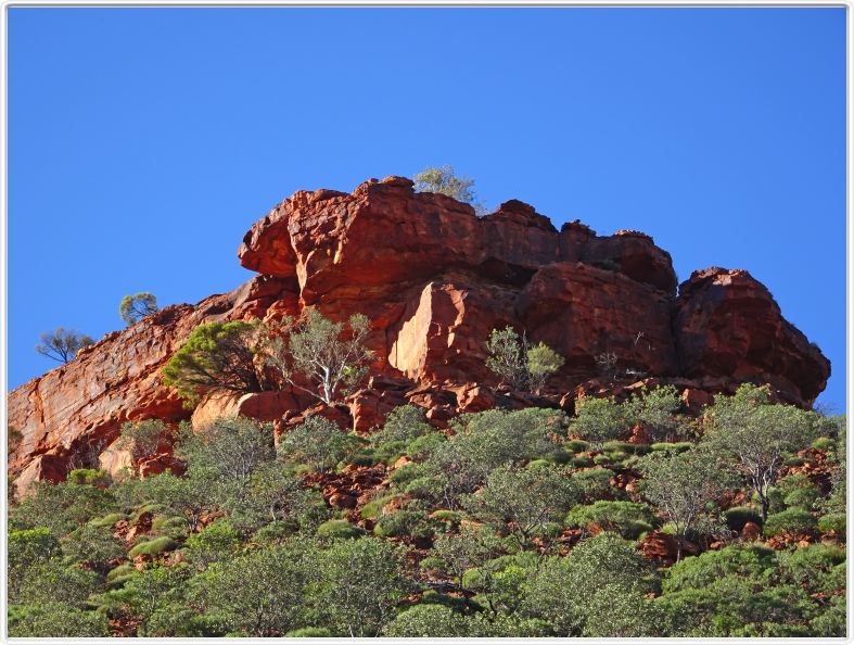 Watarrka National Park (Kings Canyon ).