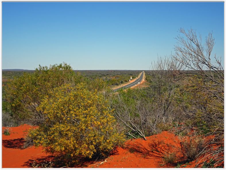 En route pour Uluru par la Lasseter Highway.