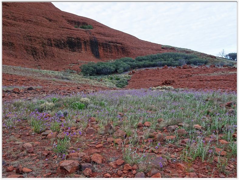 Uluru.