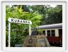 Excursion en train (Kuranda Scenic Rail) vers Kuranda,