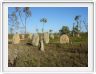 Nous partons de Darwin en direction du Lichtfield National Park