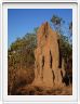 Nous partons de Darwin en direction du Lichtfield National Park