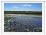 Parc national de Kakadu