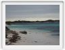 Sur l'Ile de Rottnest (Ce nom signifie Nid des rats).