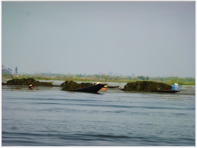 Sur le Lac Inle