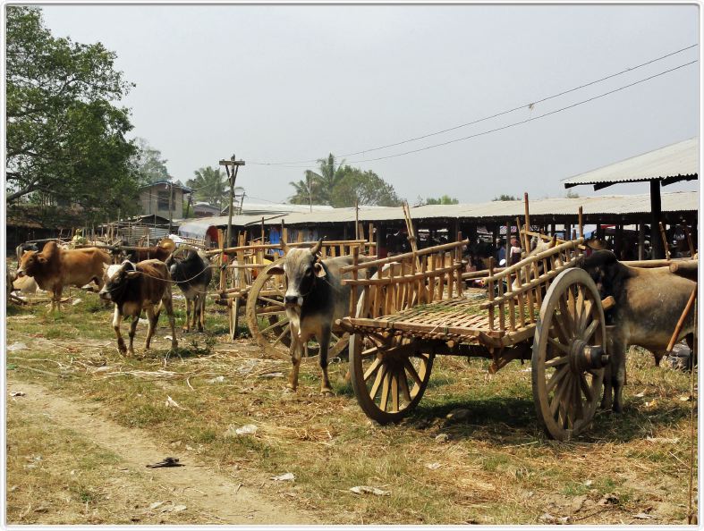 Marché de Nan Pan au bord du Lac Inle