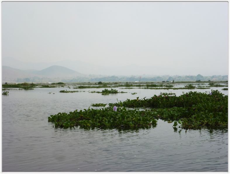 Sur le Lac Inle