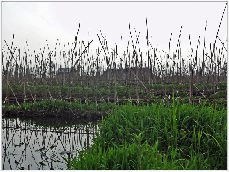 Sur le Lac Inle