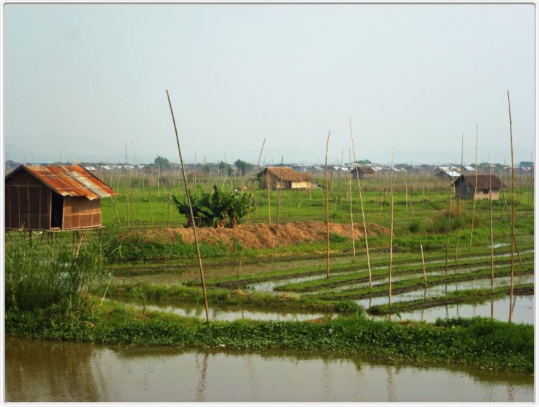 Sur le Lac Inle