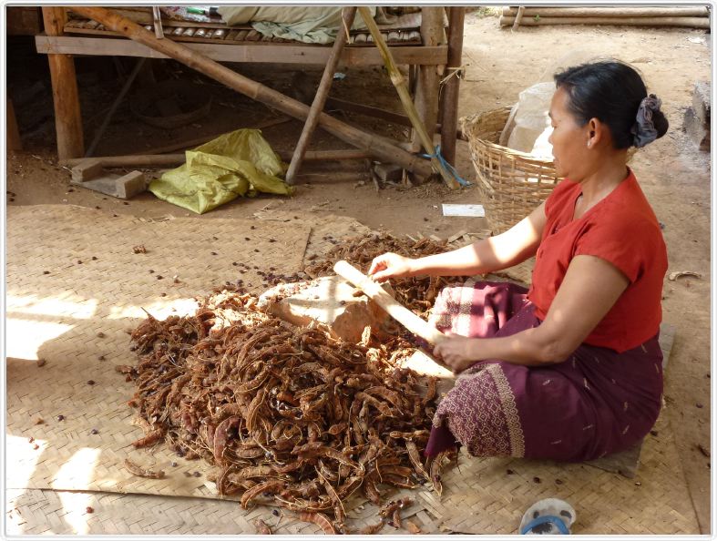 Village d'artisans.