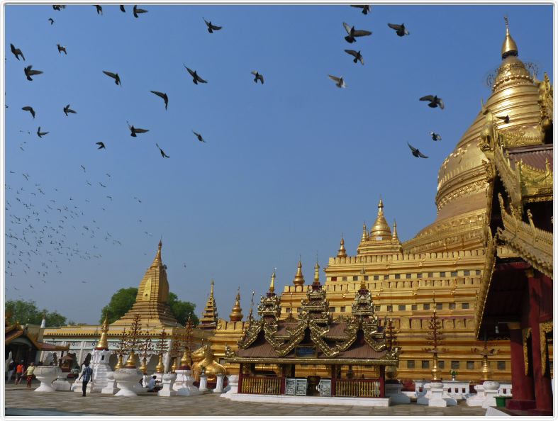 Bagan. Pagode Shwezigon