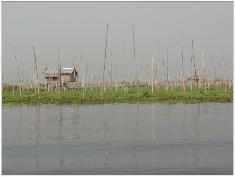 Sur le Lac Inle