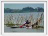 Sur le Lac Inle