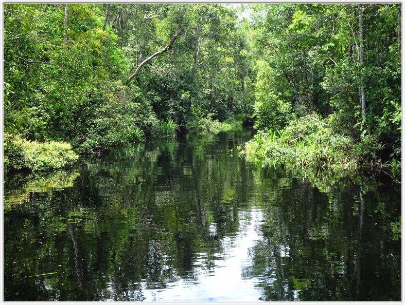 Notre excursion continue sur la Sekonyer River; les eaux sont maintenant 