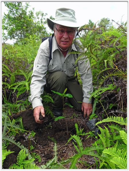 Participation au reboisement de Borneo: plantation d'un arbre.