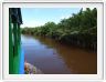 Nous remontons la rivière Kumai (Borneo)