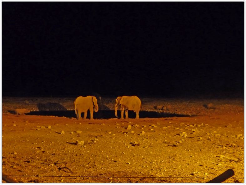 Parc Etosha