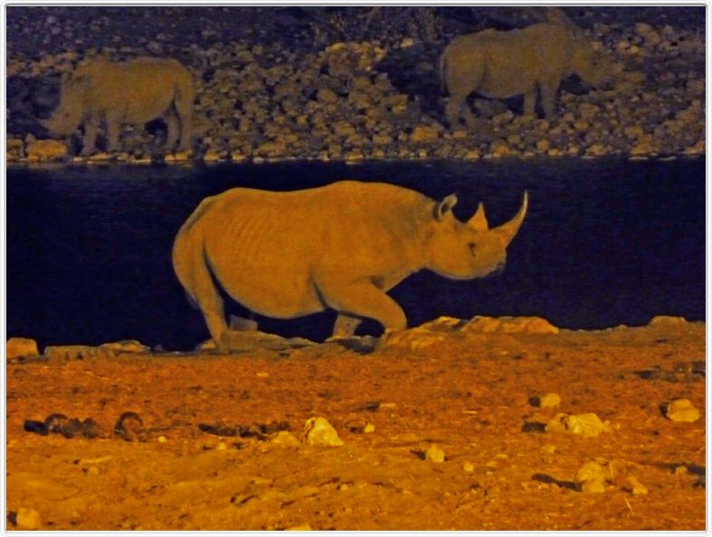 Parc Etosha